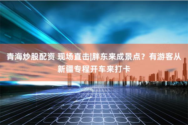 青海炒股配资 现场直击|胖东来成景点？有游客从新疆专程开车来打卡