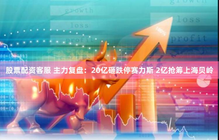 股票配资客服 主力复盘：20亿砸跌停赛力斯 2亿抢筹上海贝岭