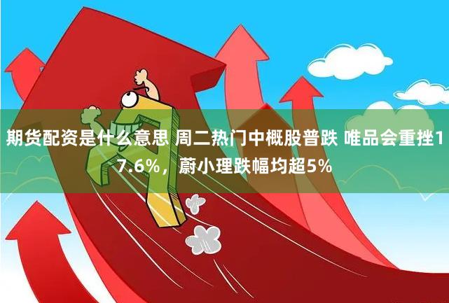 期货配资是什么意思 周二热门中概股普跌 唯品会重挫17.6%，蔚小理跌幅均超5%