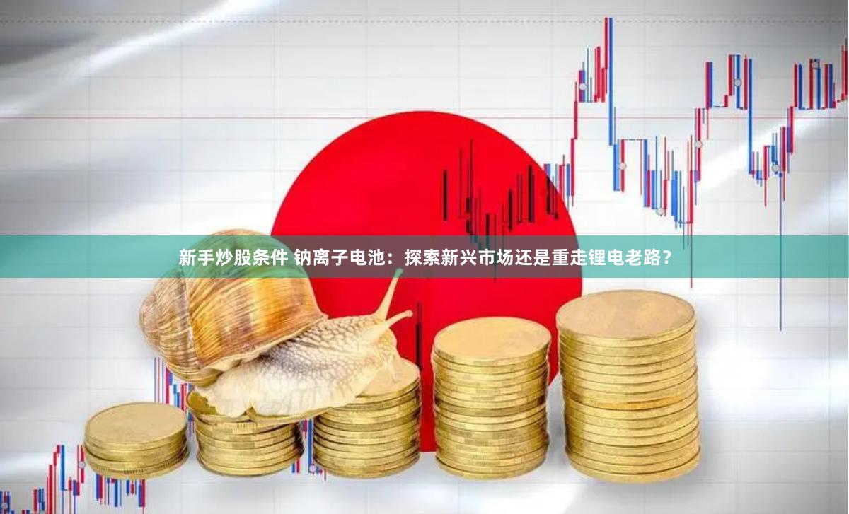 新手炒股条件 钠离子电池：探索新兴市场还是重走锂电老路？