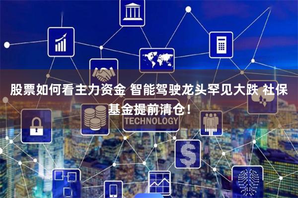 股票如何看主力资金 智能驾驶龙头罕见大跌 社保基金提前清仓！
