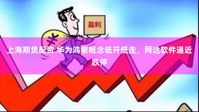 上海期货配资 华为鸿蒙概念低开低走，网达软件逼近跌停