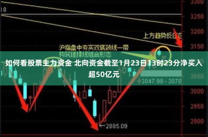 如何看股票主力资金 北向资金截至1月23日13时23分净买入超50亿元