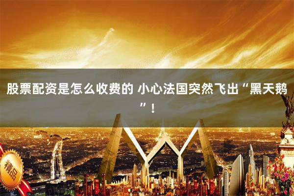 股票配资是怎么收费的 小心法国突然飞出“黑天鹅”！
