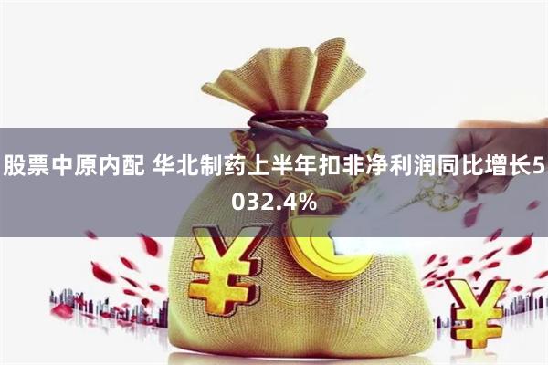 股票中原内配 华北制药上半年扣非净利润同比增长5032.4%