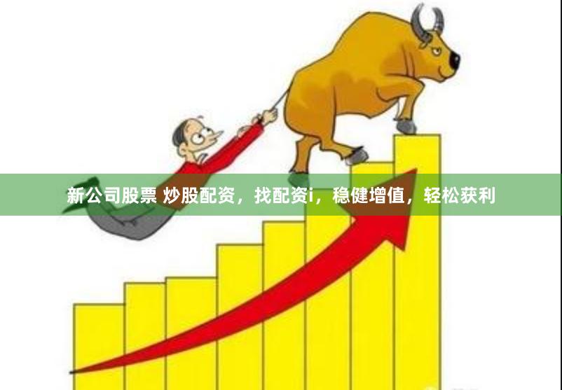 新公司股票 炒股配资，找配资i，稳健增值，轻松获利